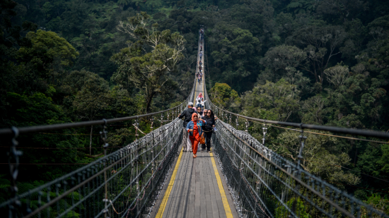 tiket masuk taman safari indonesia saat ini