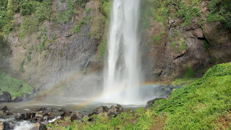 tiket masuk taman safari indonesia saat ini