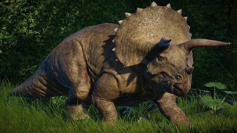 Triceratops