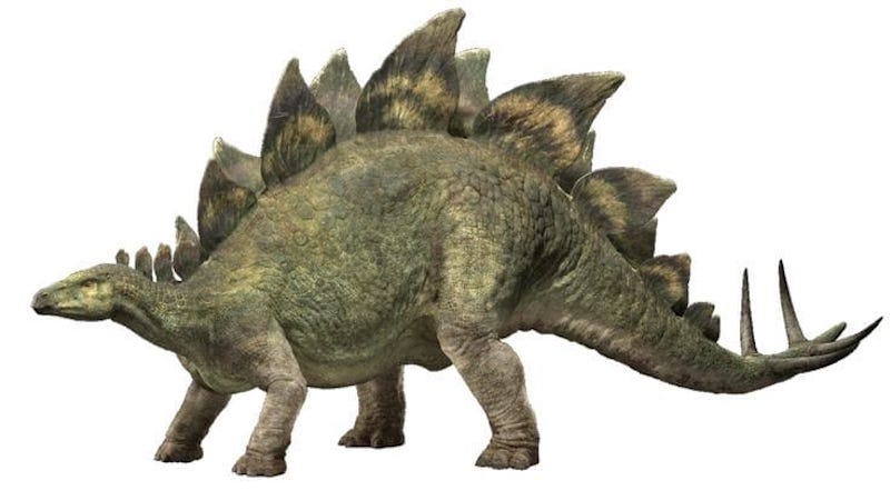 Stegosaurus