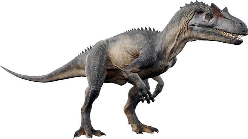 Allosaurus