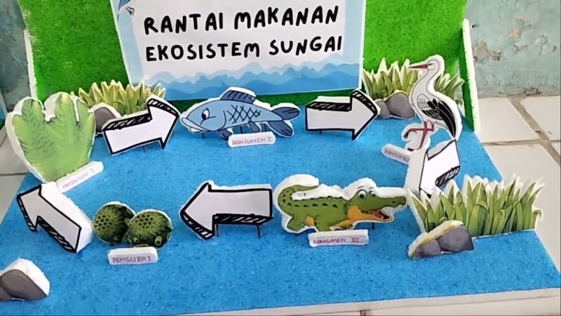 rantai makanan