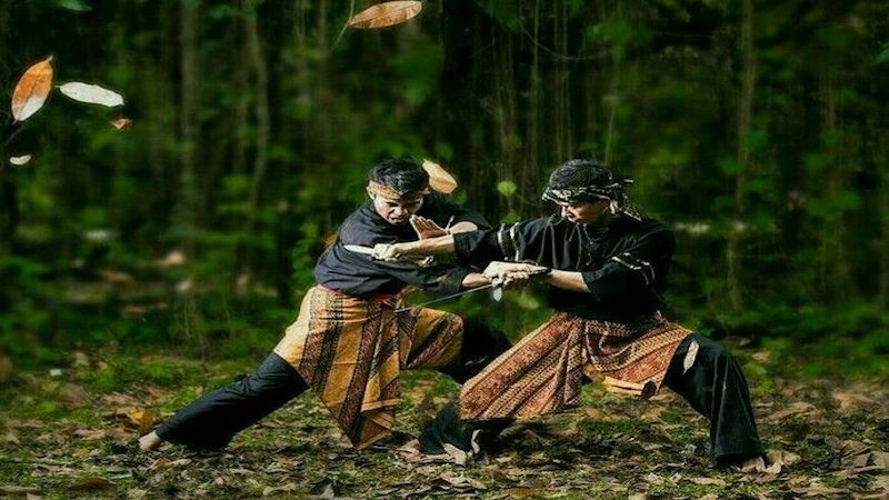 Pencak silat