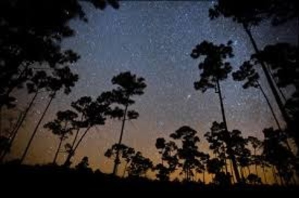 National Park Service, Everglades