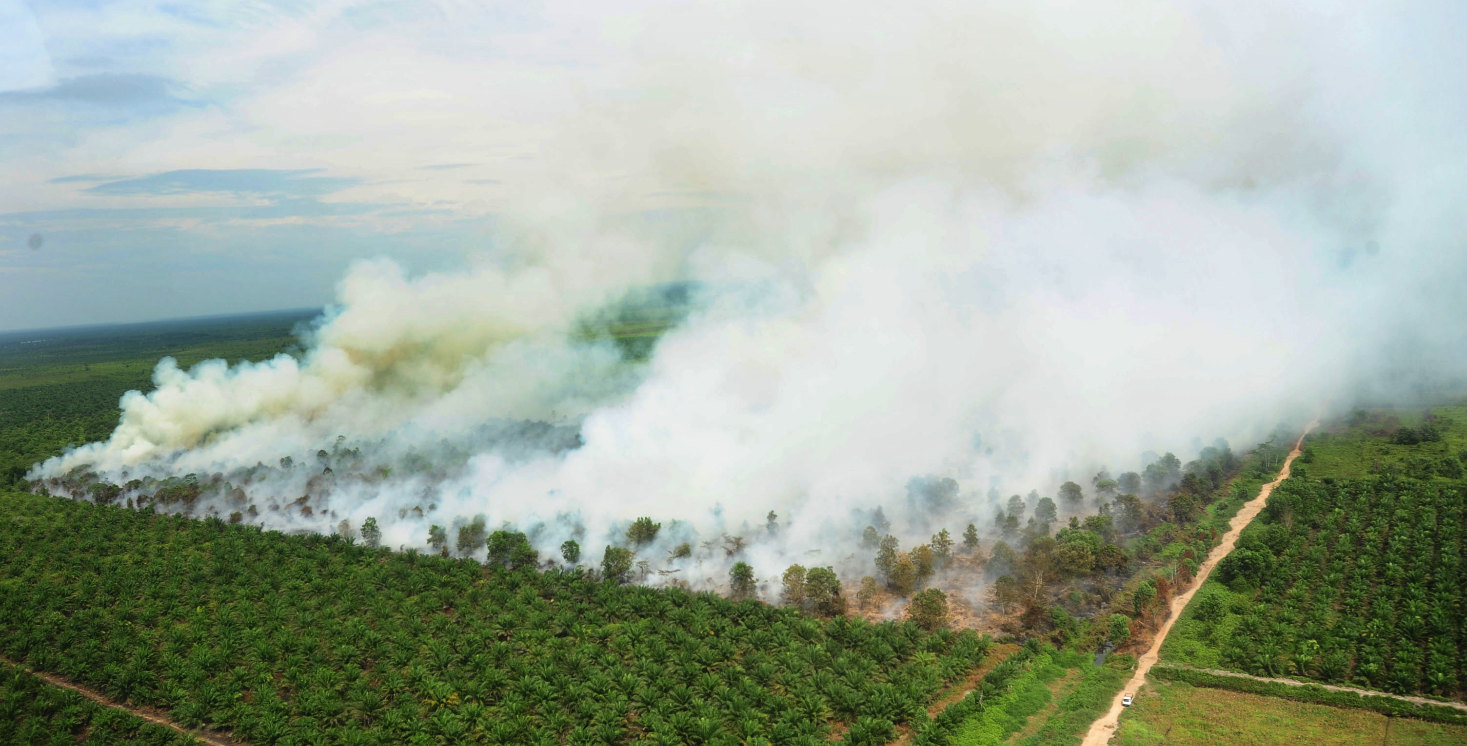 Menggugat SP3 Pembakar Lahan