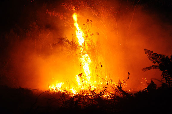 Menolak Bertekuk Lutut