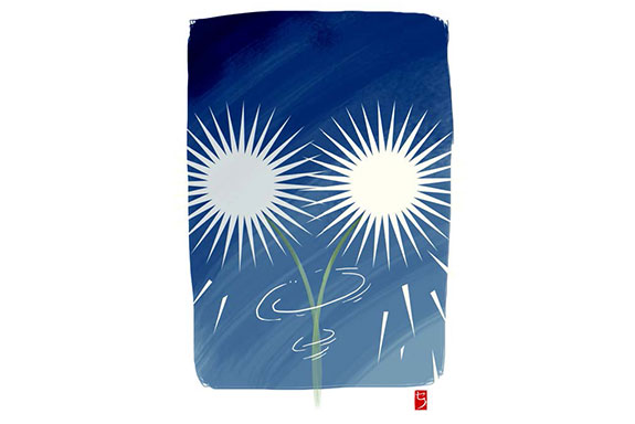 Politik Plinplan PAN