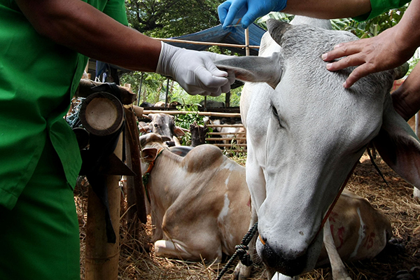 Menyembelih Ego dalam Diri