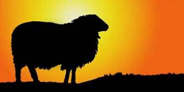 Mengaktualisasikan Hakikat Kurban