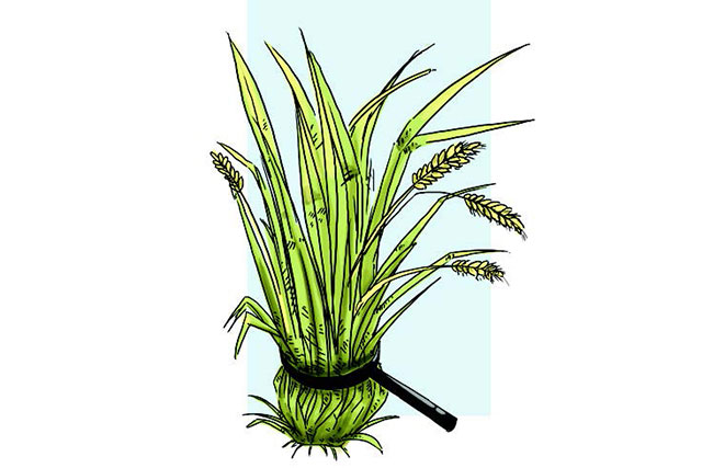 Kebijakan Tepat  Berdasar Data Akurat