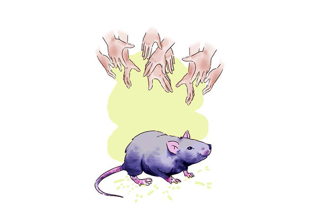 Perangi Korupsi Libatkan Publik