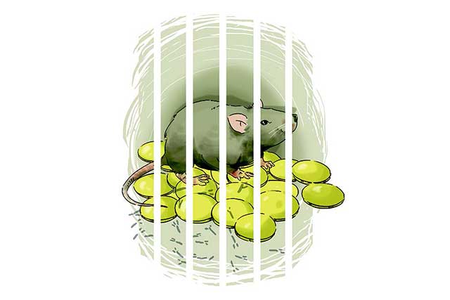 Miskin Anutan Melawan Korupsi