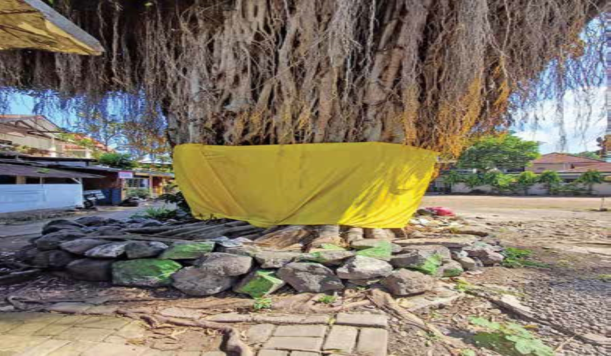 Meredefinisi Pundhen untuk Kehidupan yang Berkelanjutan