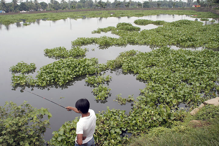Program Pengendalian Banjir Kota Bogor Tersendat