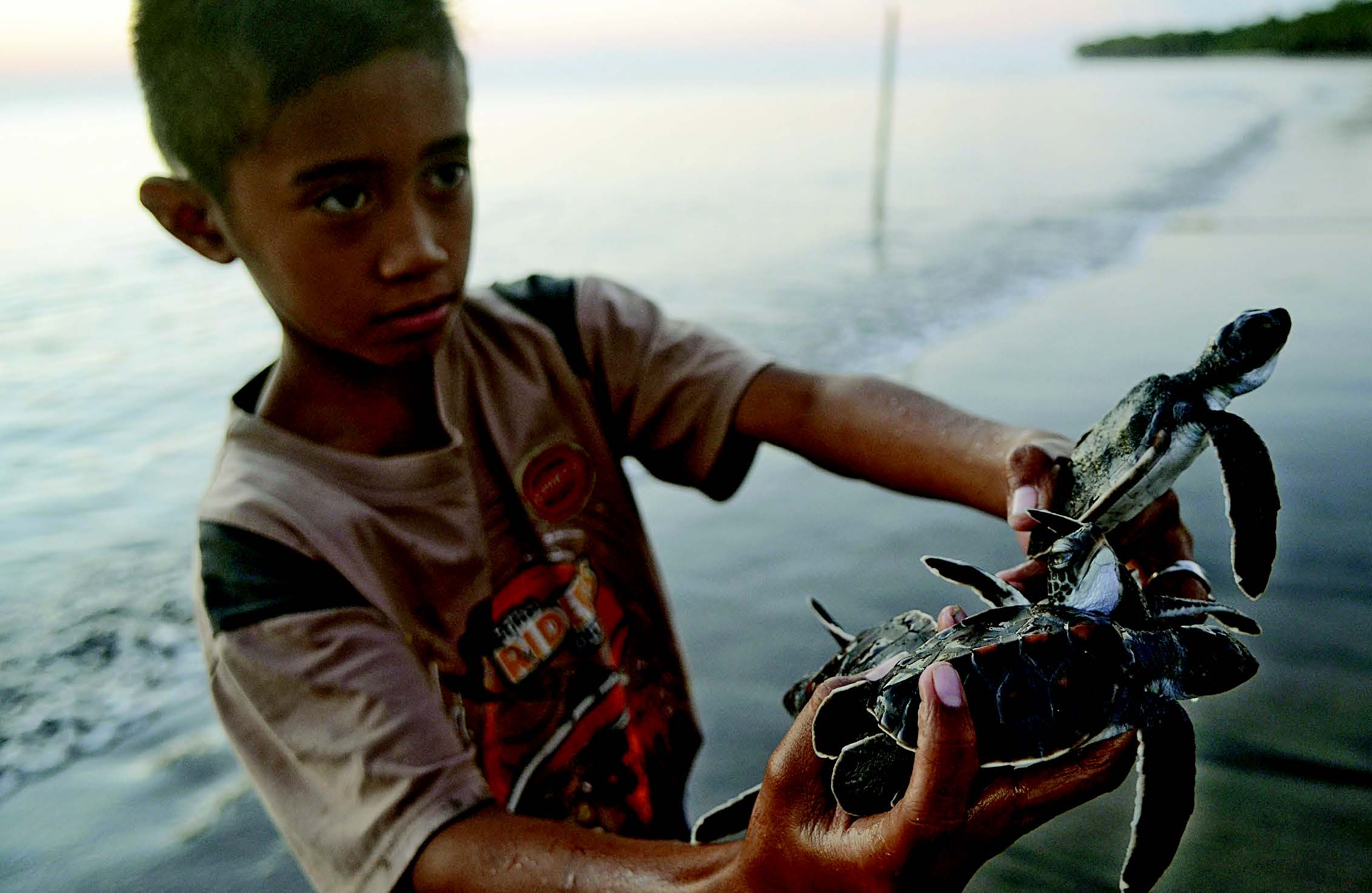 Menjaga Keragaman di Laut Perbatasan