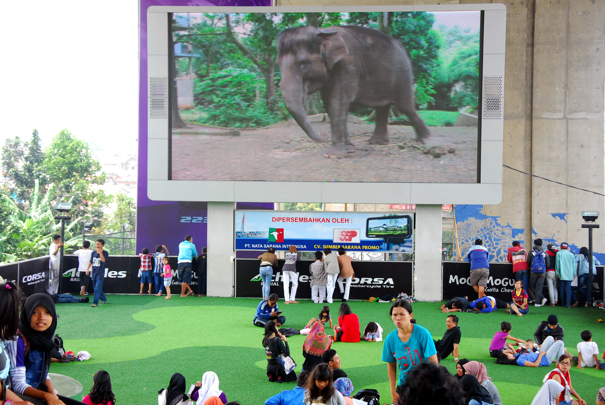 Pengunjung Kebon Binatang Bandung Tetap Harus Gunakan Masker
