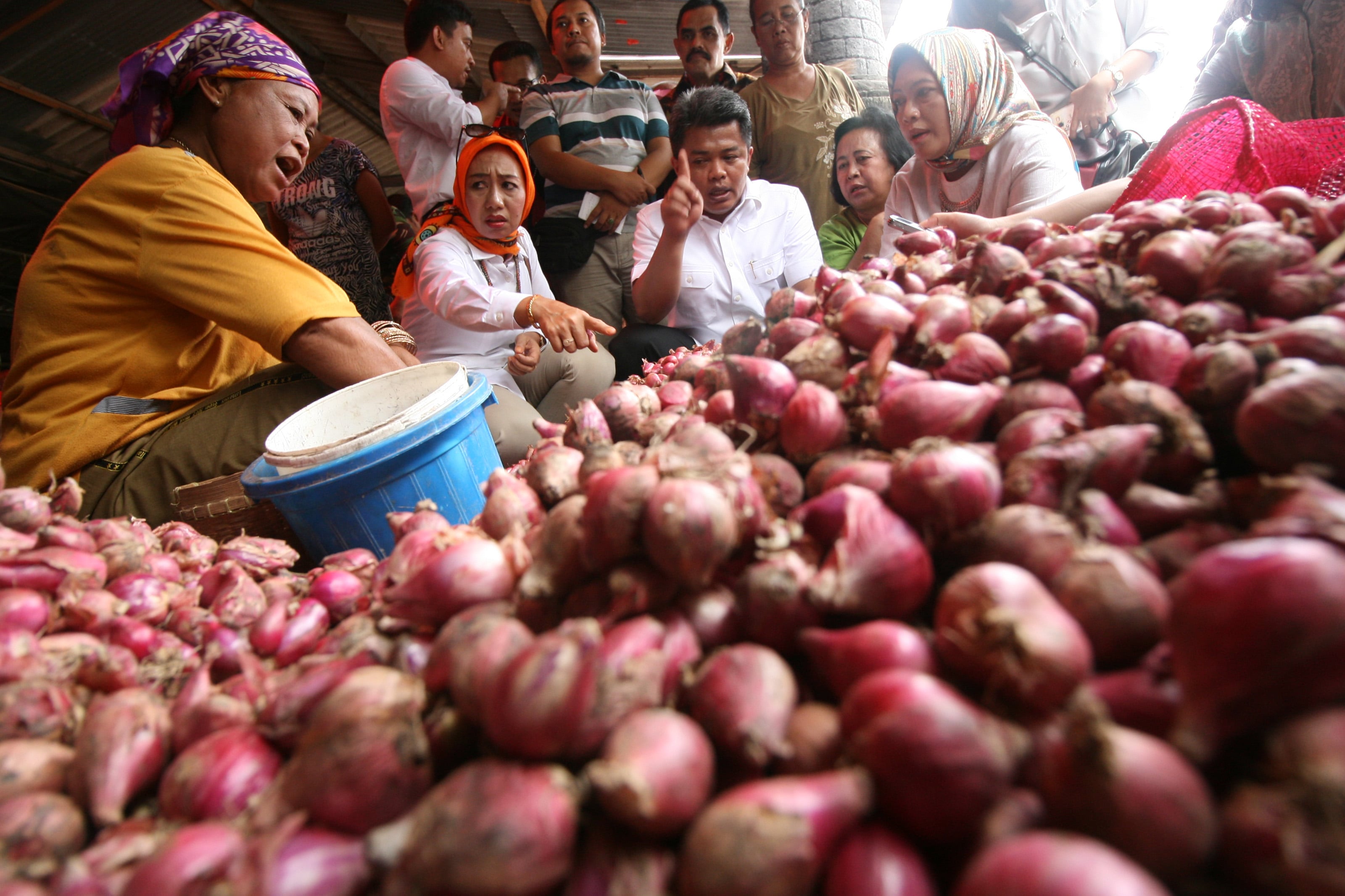 Harga Bawang Turun