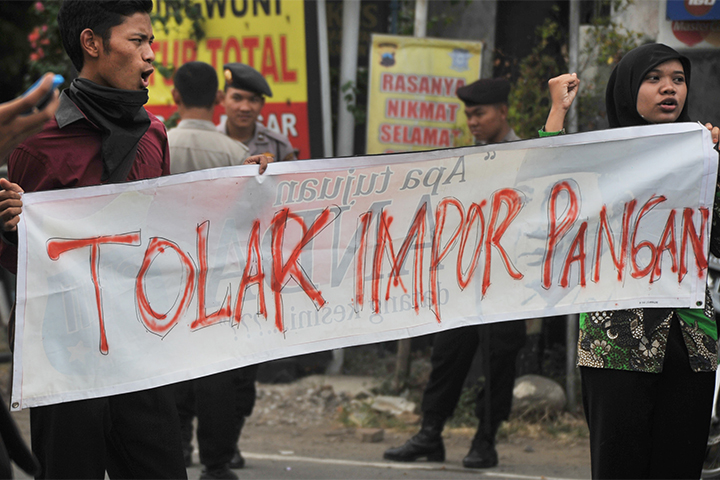 Impor Hanya Solusi Sementara Gejolak Pangan