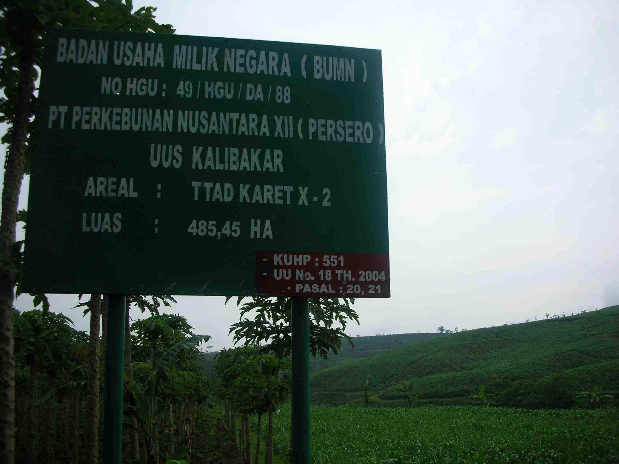 Polisi Usut Penyerobotan Lahan Kalibakar