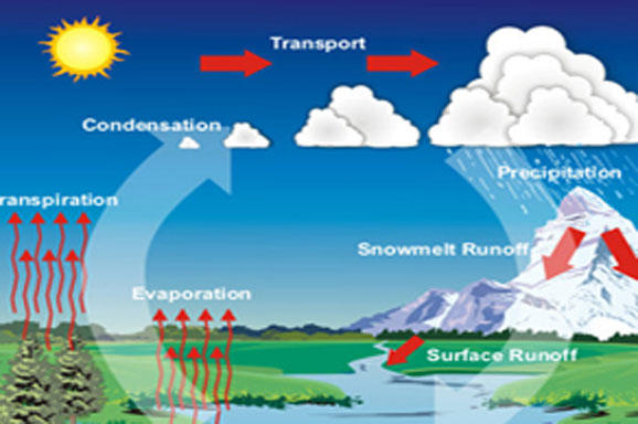 Perubahan Iklim dan Tanggung Jawab Pemuda