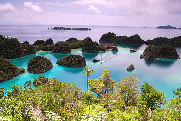 Pianemo, Surga yang Memanjakan Mata di Raja Ampat