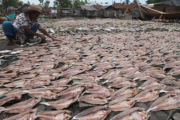 Pedagang Pilih Jual Ikan Asin