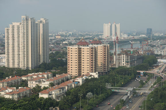 Djarot: Tikus di Jakarta Besar-besar