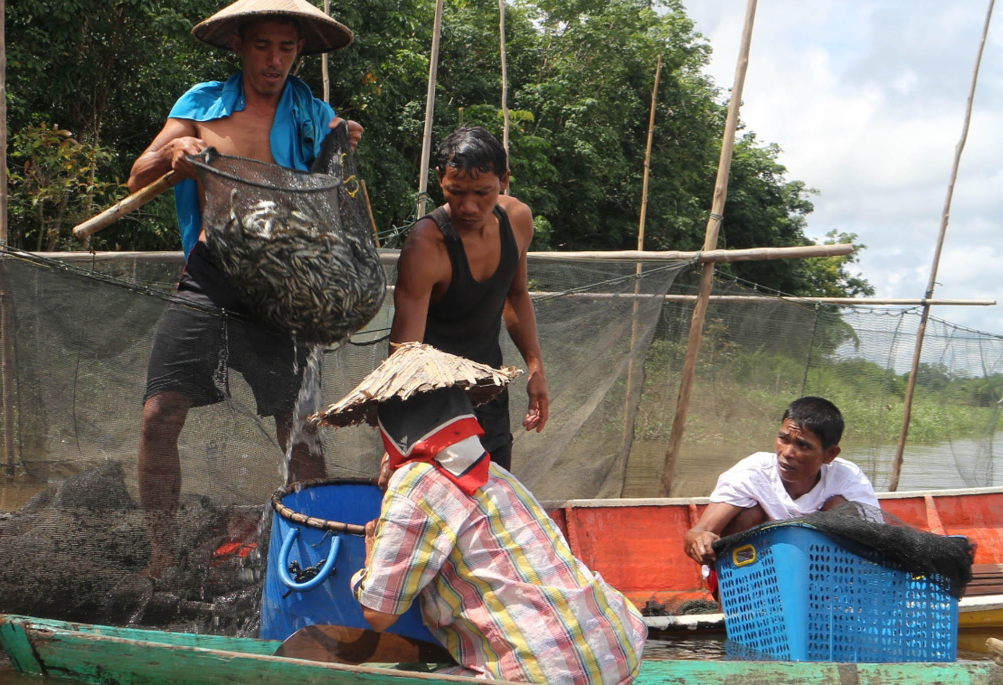 Melestarikan Kehidupan di Sungai Mati