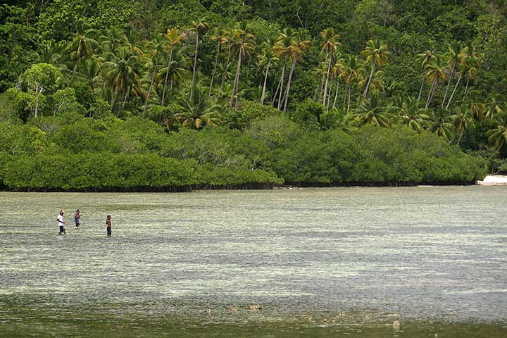 Perdasus Papua Provinsi Konservasi Diberlakukan 2017