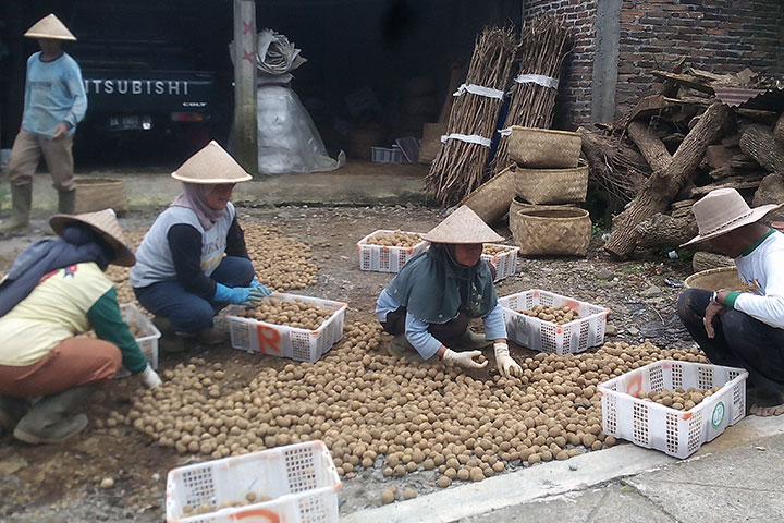 Belajarlah Keberagaman hingga ke Dieng
