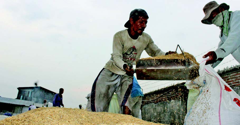 Bulog Antisipasi Serangan Tengkulak