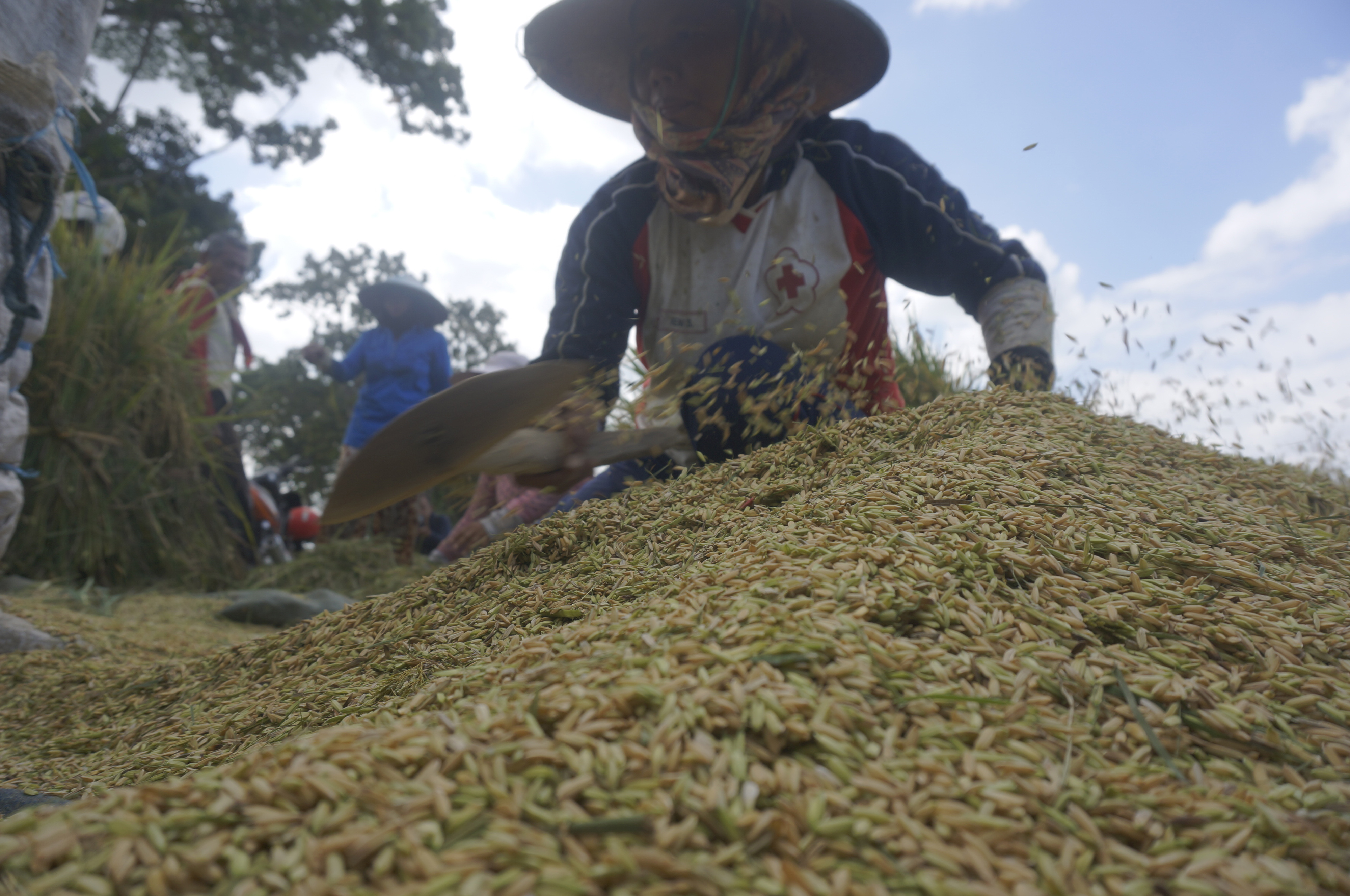Memaknai Kemerdekaan dan Kedaulatan Pangan