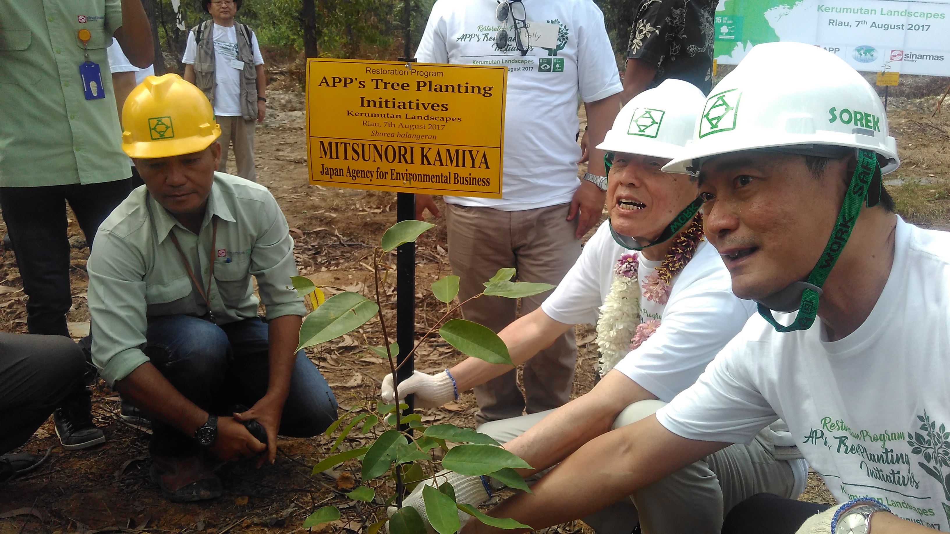 APP Sinar Mas Hijaukan Distrik Sorek
