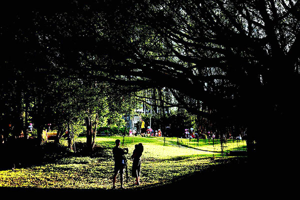 Taman yang Menghidupkan Kota