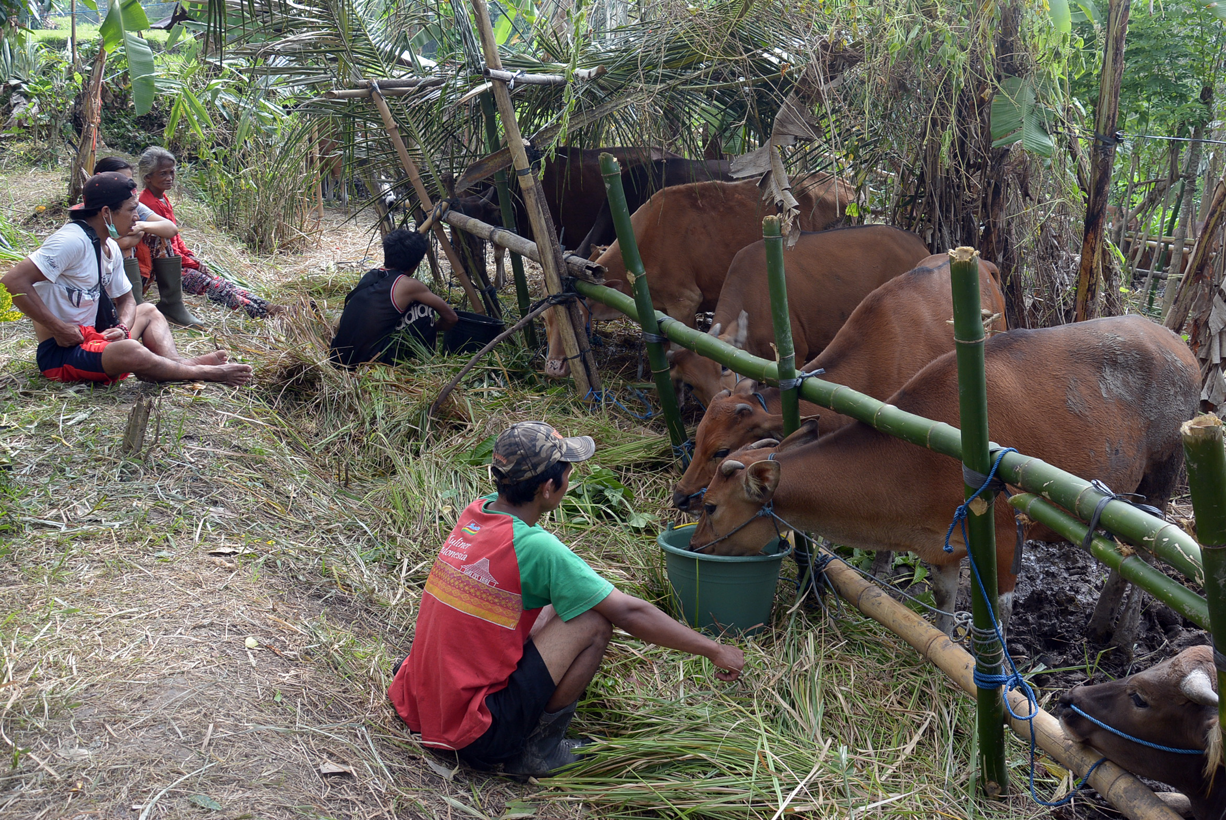 Hewan Ternak Marak Dicuri, Warga Desa Resah
