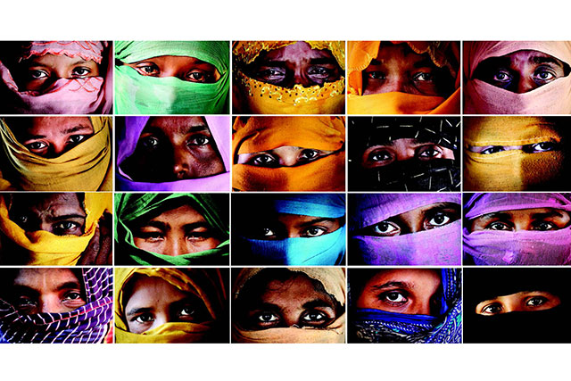 Kegetiran Panjang Rohingya