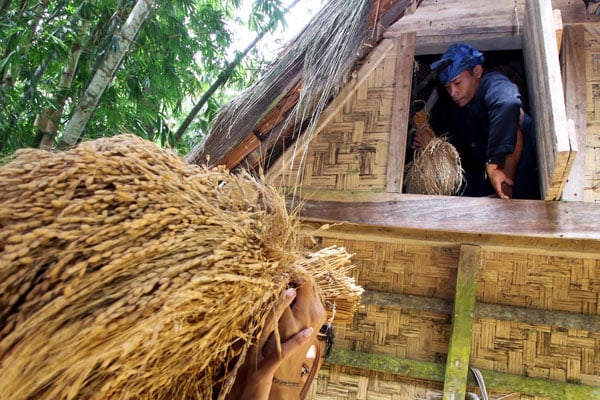 Sulit Beras di Lumbung Padi