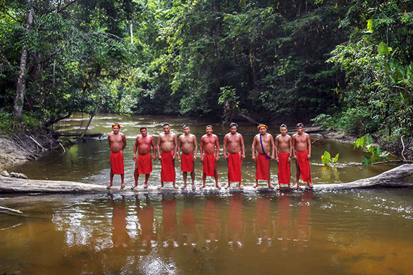 Suku Amazon Melawan Goliath