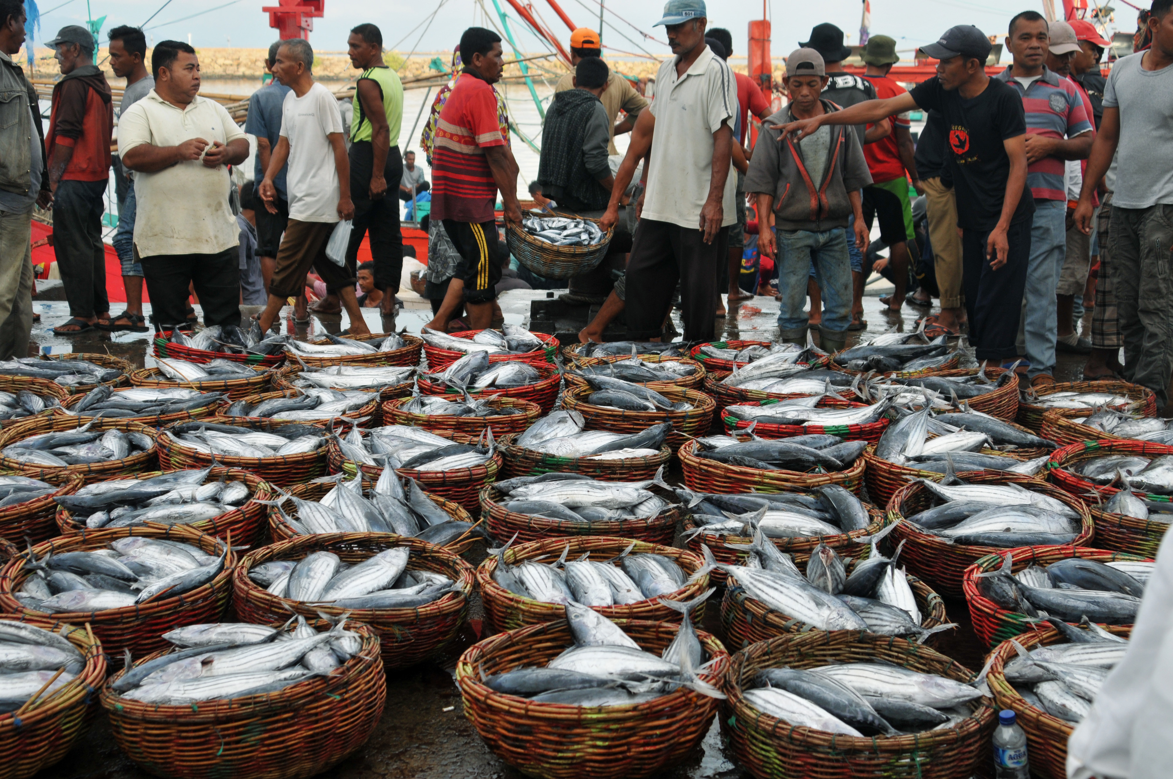Koperasi Ingin Kelola Tempat Lelang Ikan
