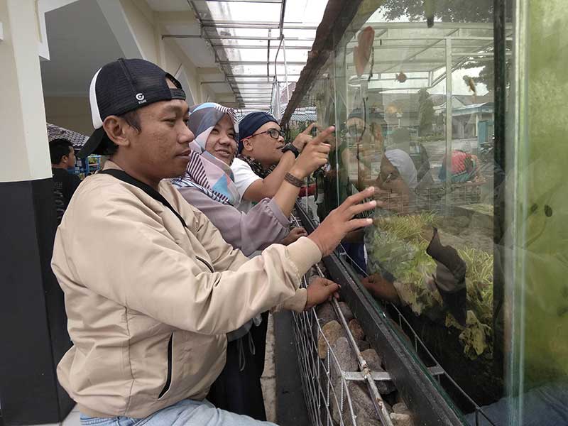 Warga melihat akuarium di Masjid At-Taqwa di Kompleks Balai Besar Perikanan Budi Daya Air Tawar (BBPBAT) di Kelurahan Cikole Kota Sukabumi, Jawa Barat.