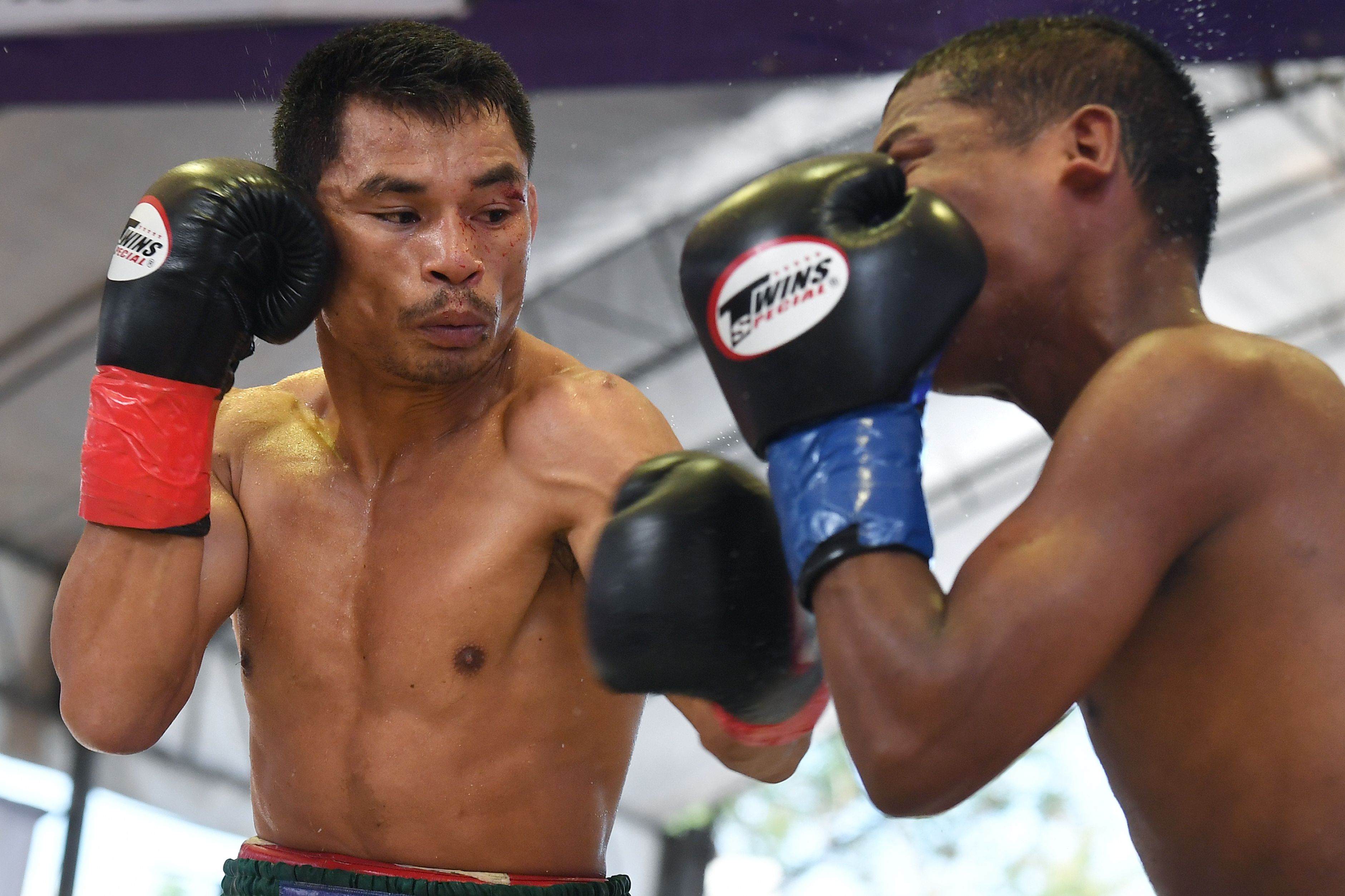 Menayothin Samai Rekor Petinju Mayweather Jr