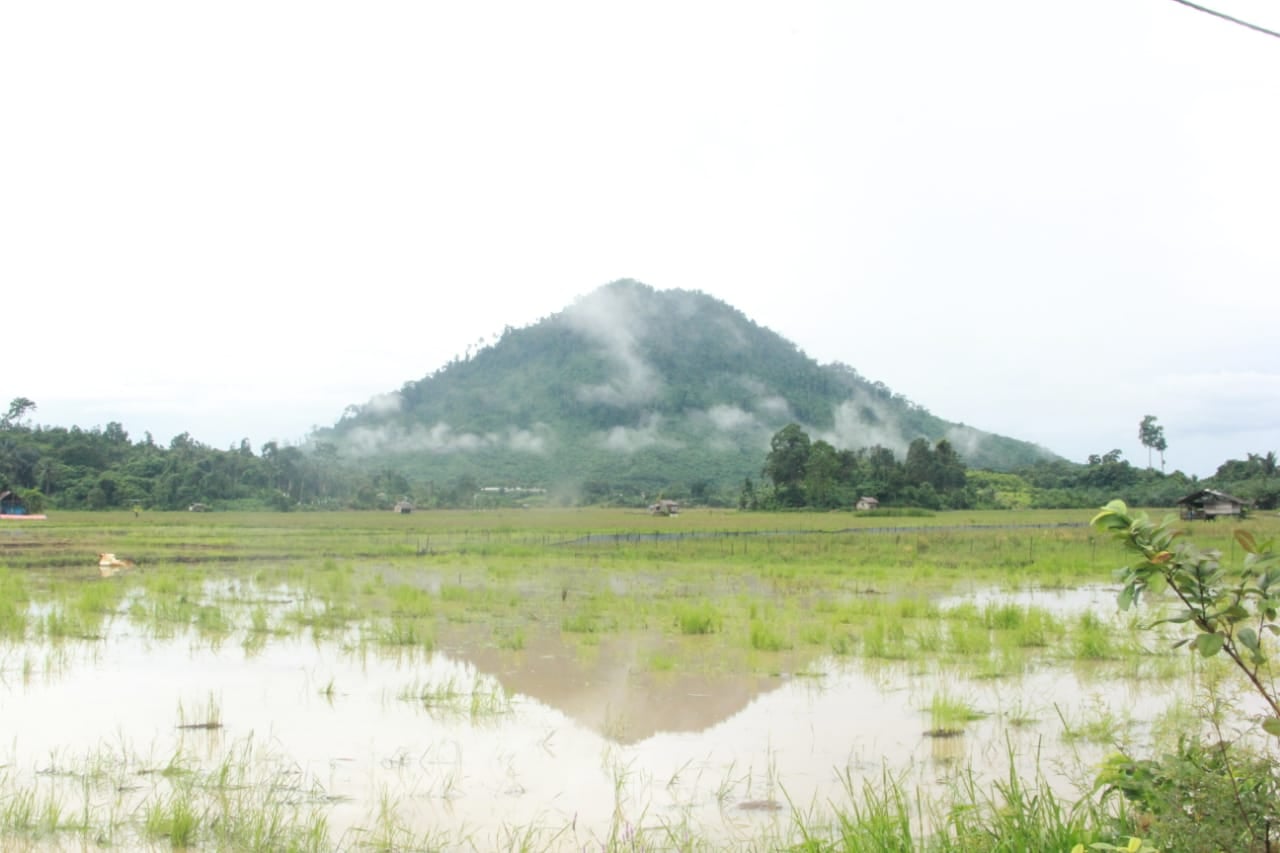 Mempertahankan Gunung Jambangan Ikon Kotabaru dari Ekspansi Tambang