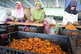 Kunyit dapat Menangkal Penyakit Jantung