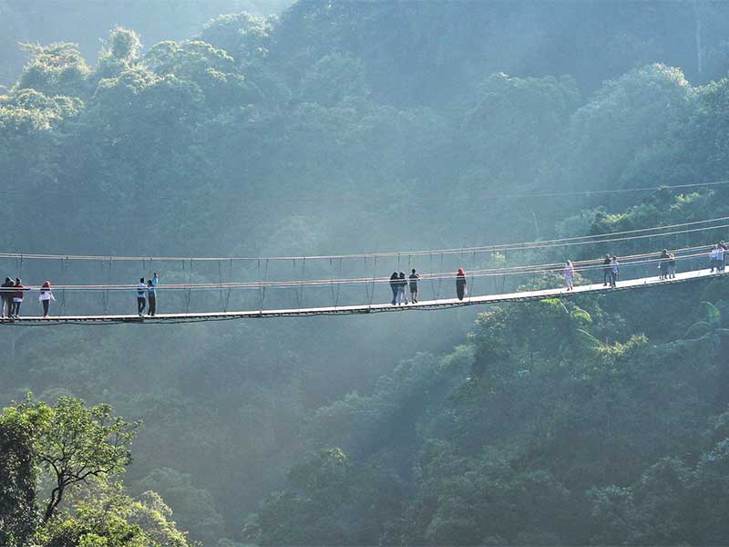 Pengunjung berjalan di jembatan gantung panjang di kawasan Taman Nasional Gunung Gede dan Pangrango, di Sukabumi, Jawa Barat, Senin (18/6/2018)