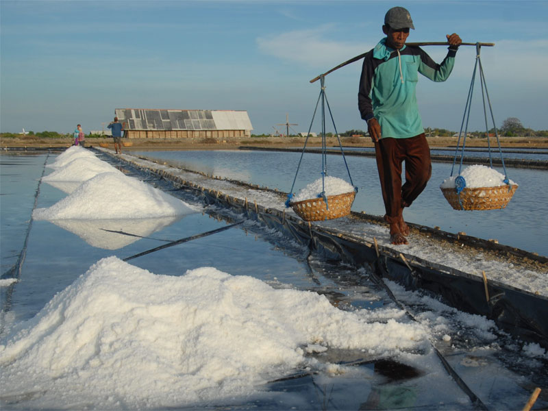 Pengolah melakukan panen garam di Desa Bunder, Pademawu, Pamekasan, Jatim