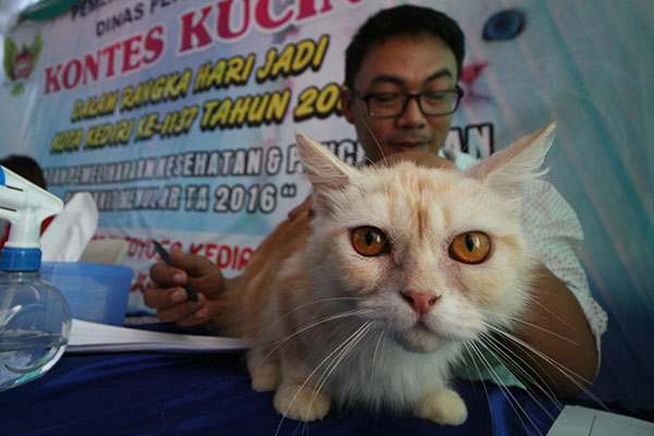 . ANTARA FOTO/Prasetia Fauzani