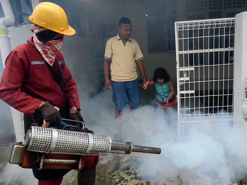 Petugas melakukan pengasapan (fogging) untuk memutus siklus hidup nyamuk di perumahan warga 