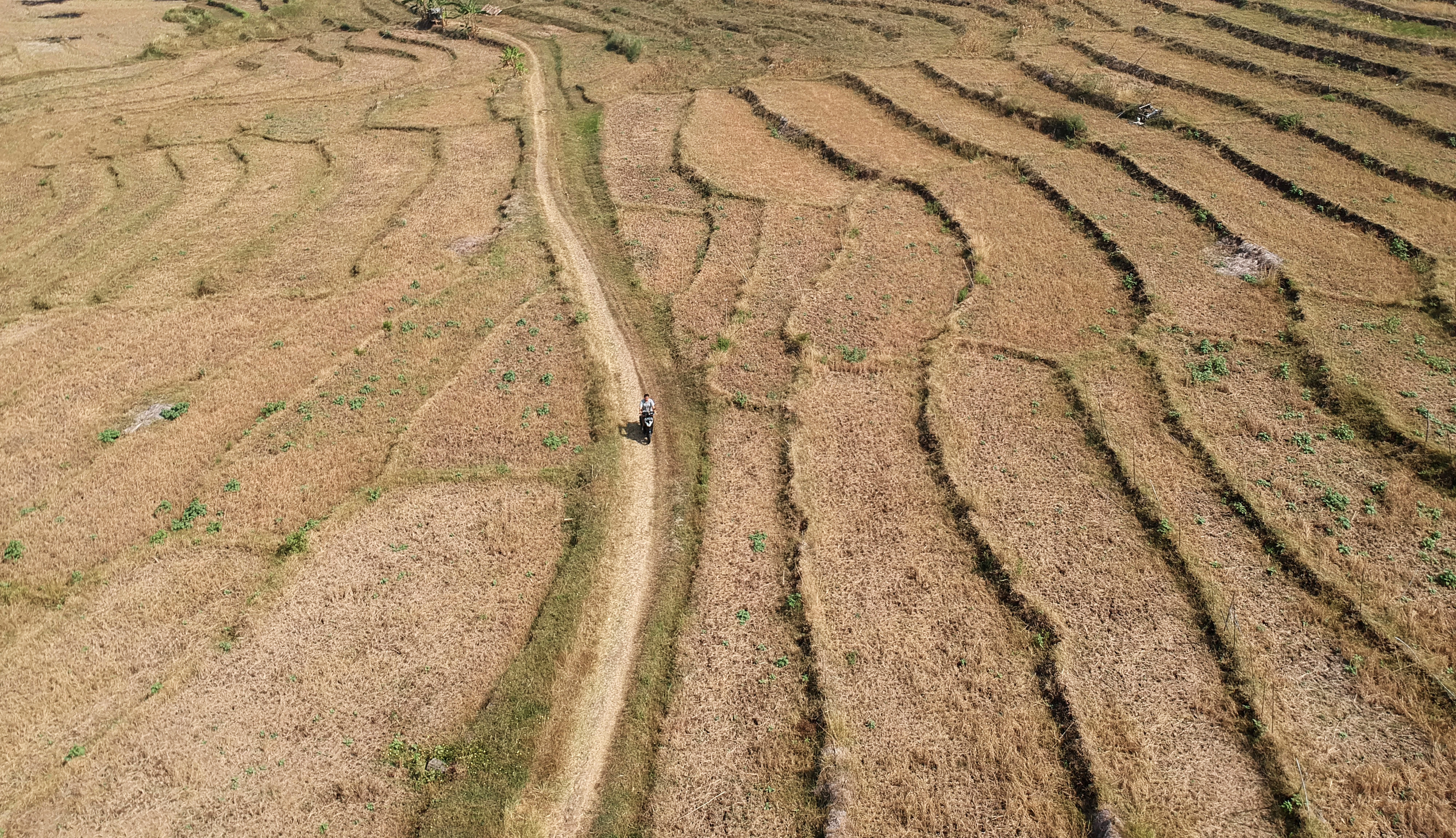  Risiko Pertanian Akibat Kekeringan