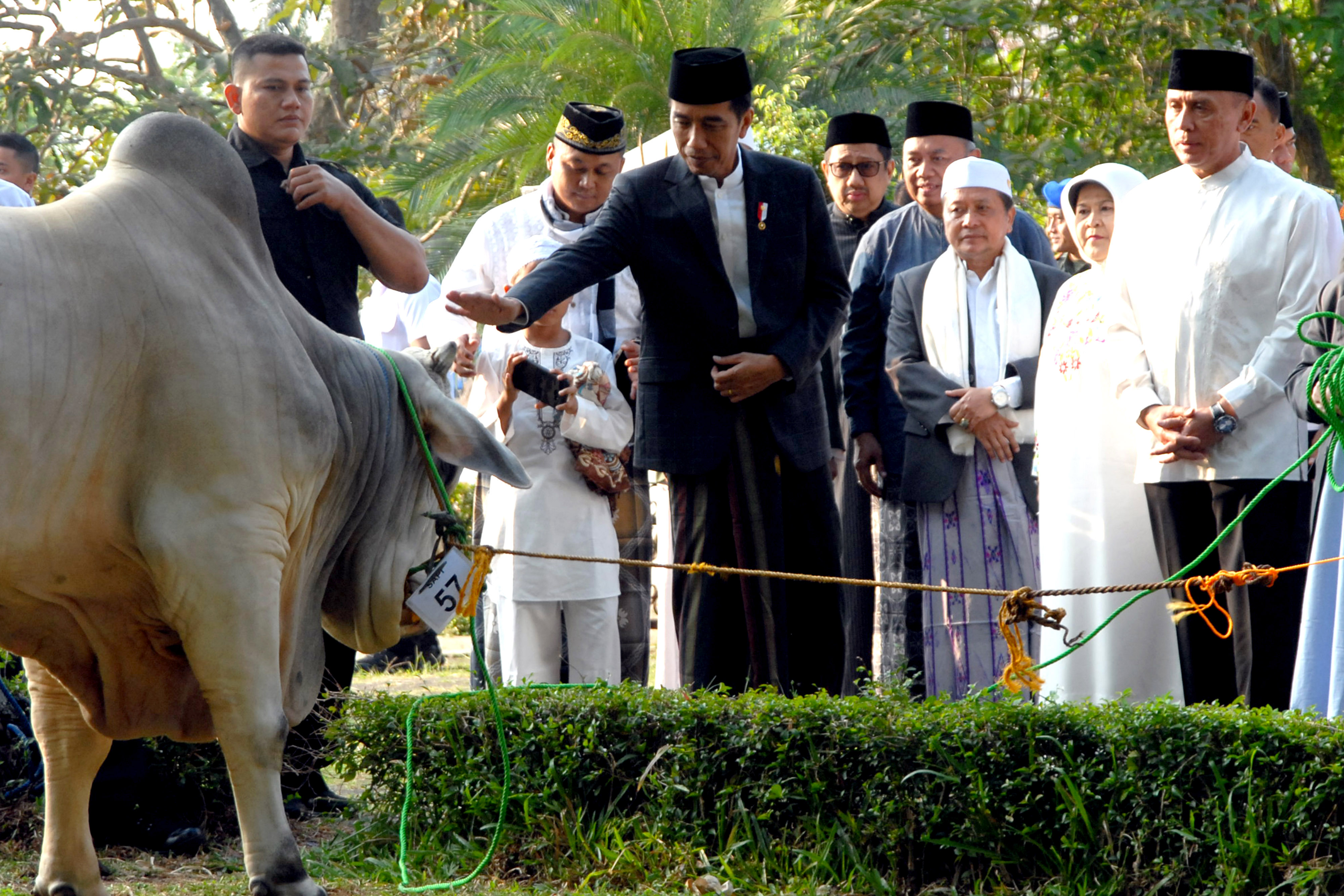 Presiden Joko Widodo (ketiga kiri) memberikan seekor sapi kepada pengurus masjid Baitul Faidzin, CIbinong, Kabupaten Bogor, Jawa Barat, Rabu (22/8). Pada Idul Adha 1439 H tahun ini, Presiden Jokowi memberikan satu ekor sapi kurban jenis peranakan Ongol den