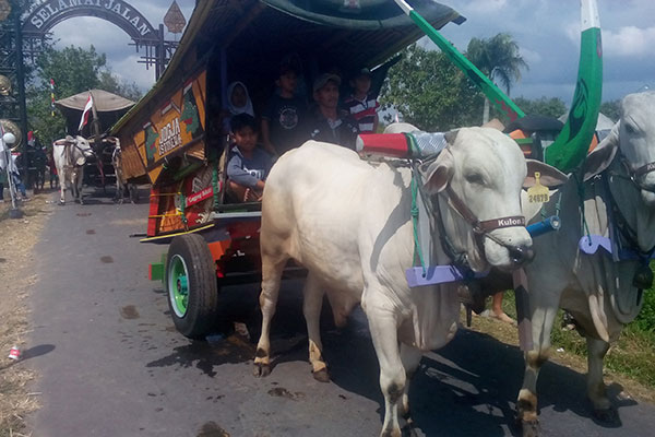 Klaten Gelar Festival Gerobak Sapi di Candi Plaosan